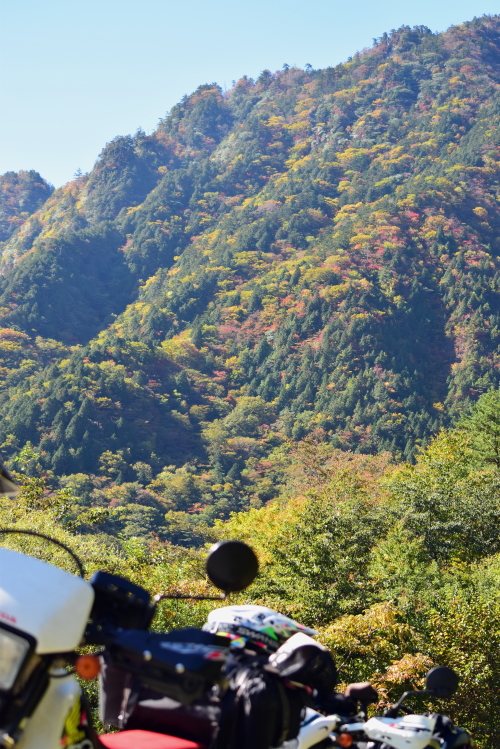 c0339546_1722680.jpg