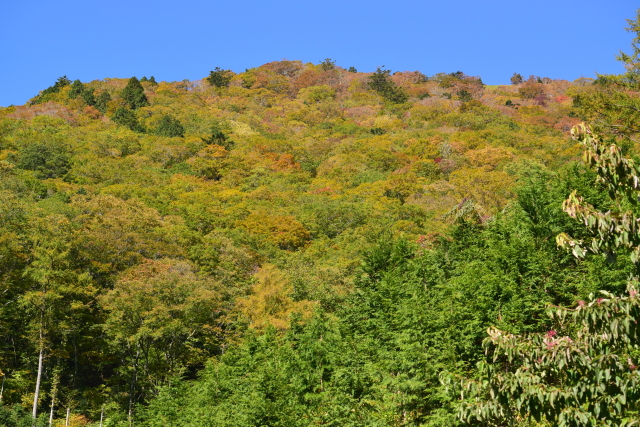 c0339546_172388.jpg