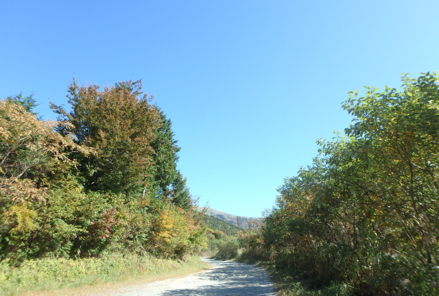 c0339546_17552652.jpg