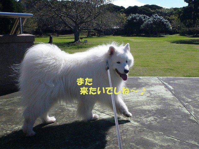 e0176159_09460746.jpg