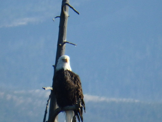 c0115366_1351679.jpg