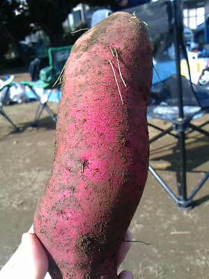 e0036980_202983.jpg