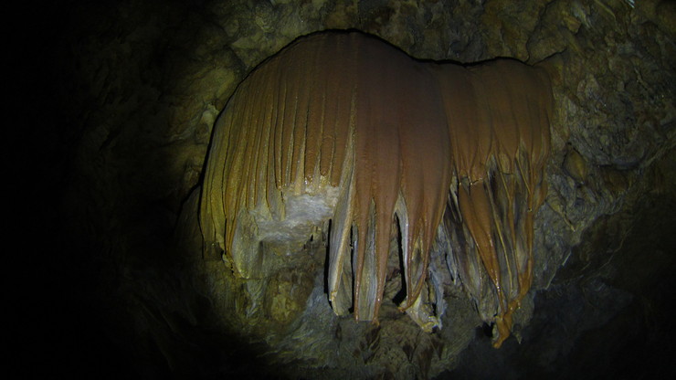 a0242984_5364572.jpg