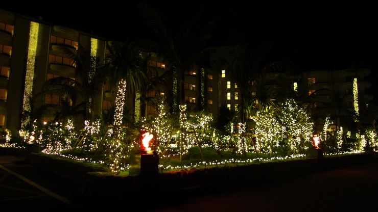 a0242984_5572889.jpg