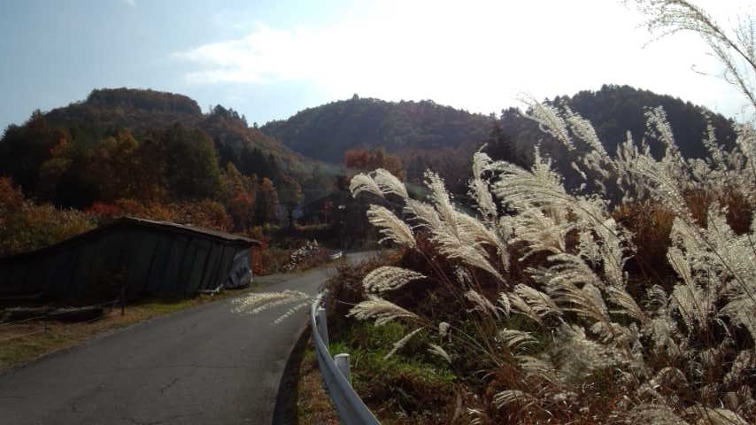 a0130586_17534976.jpg