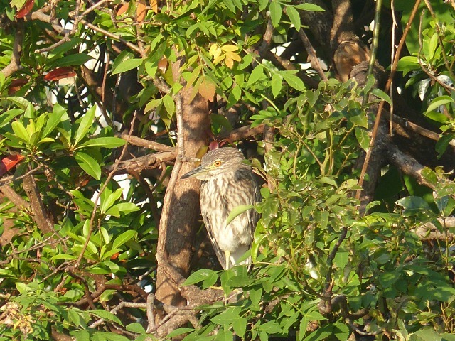 f0357487_2144871.jpg