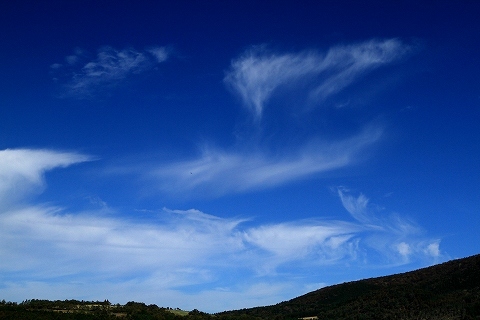 a0222494_20395120.jpg