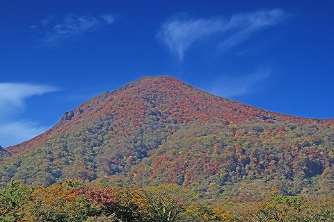 a0222494_20400629.jpg