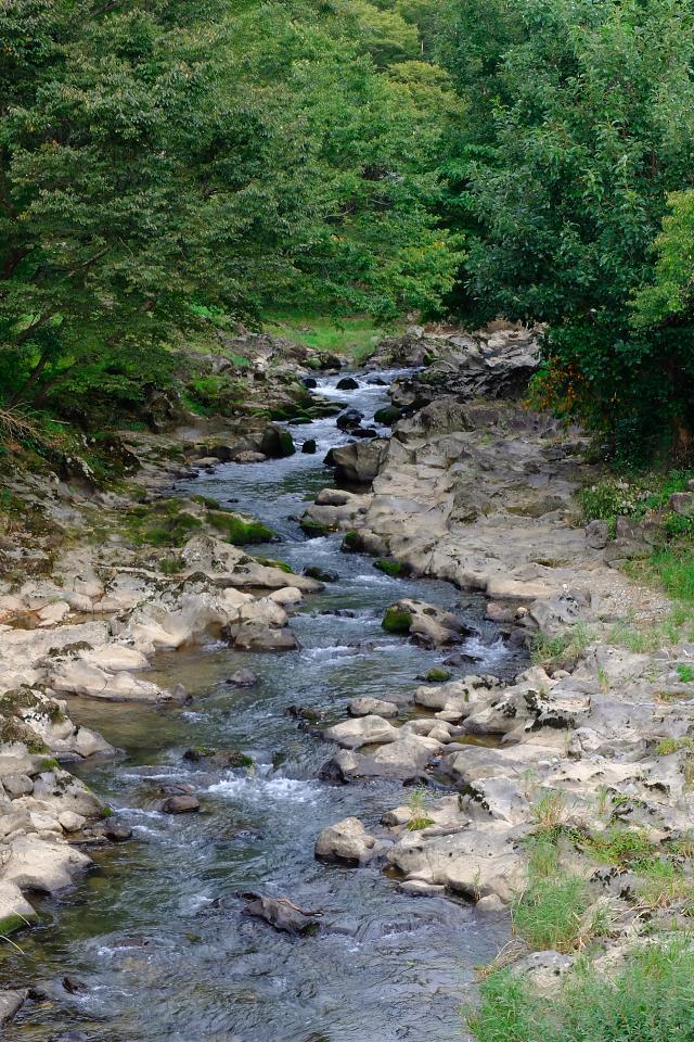 d0069495_08351173.jpg