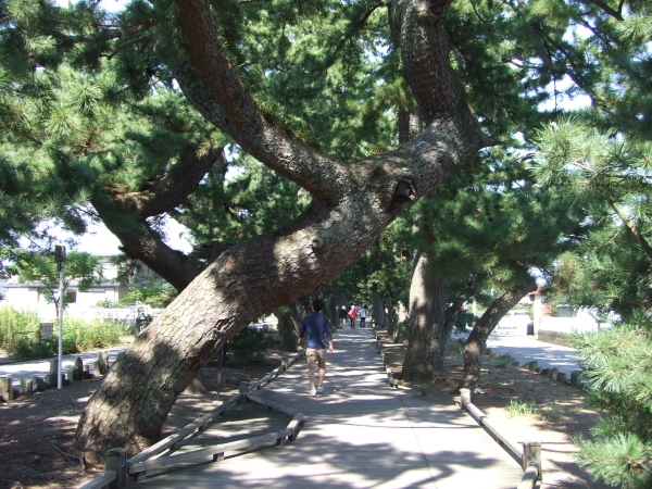 e0023895_2235075.jpg