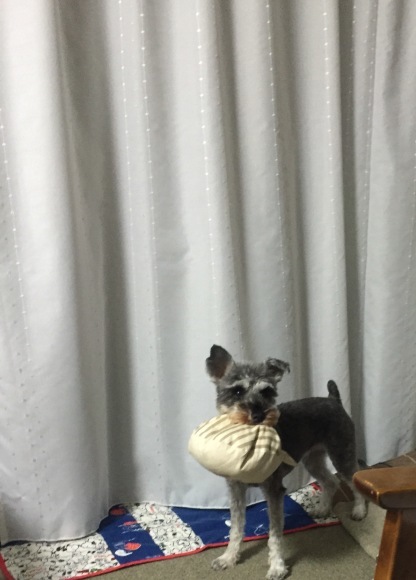b0188998_23420199.jpeg