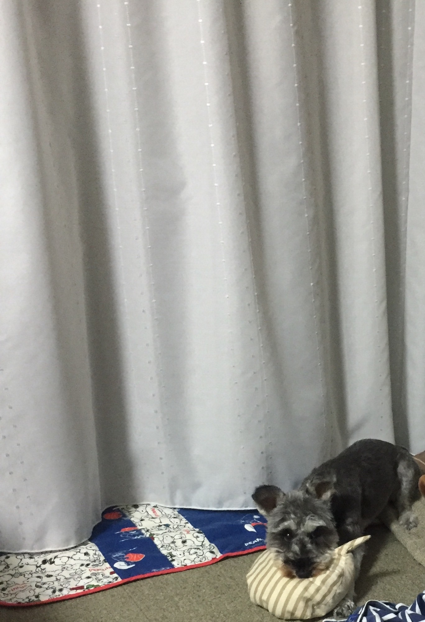 b0188998_23421125.jpeg