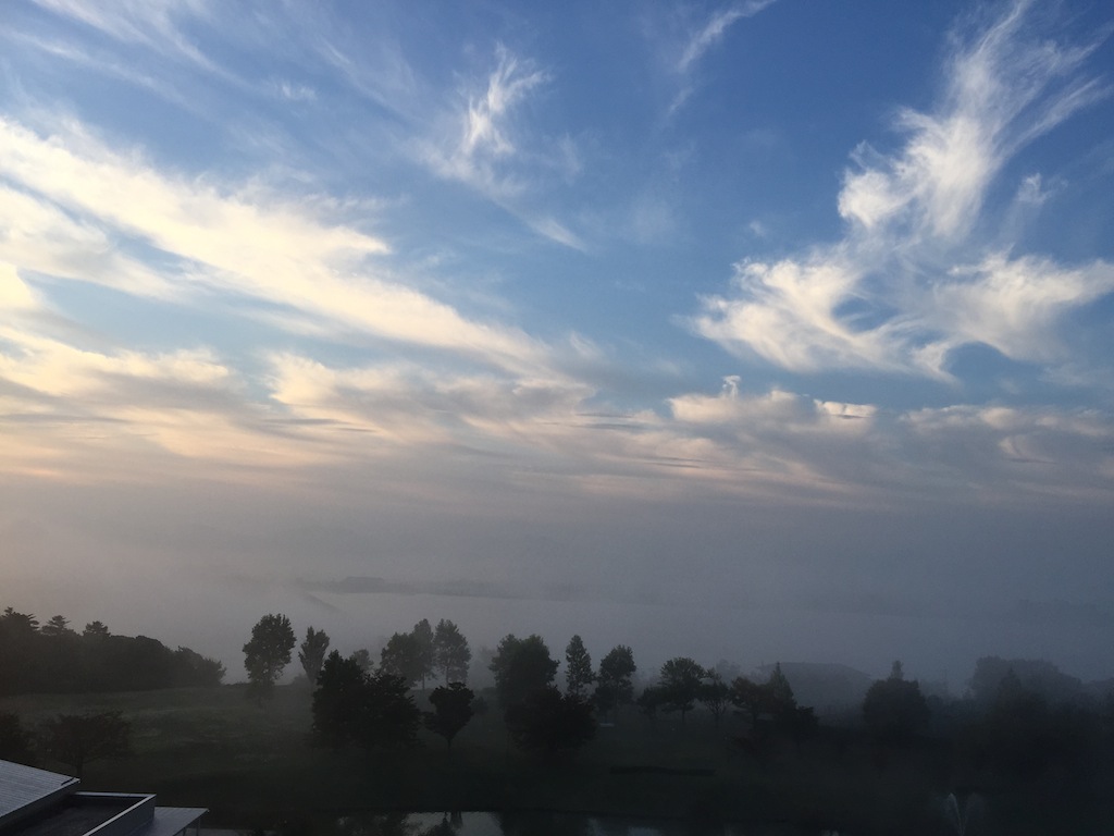 f0108399_8413859.jpg