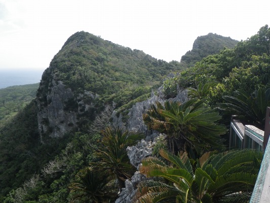 f0187402_20463499.jpg