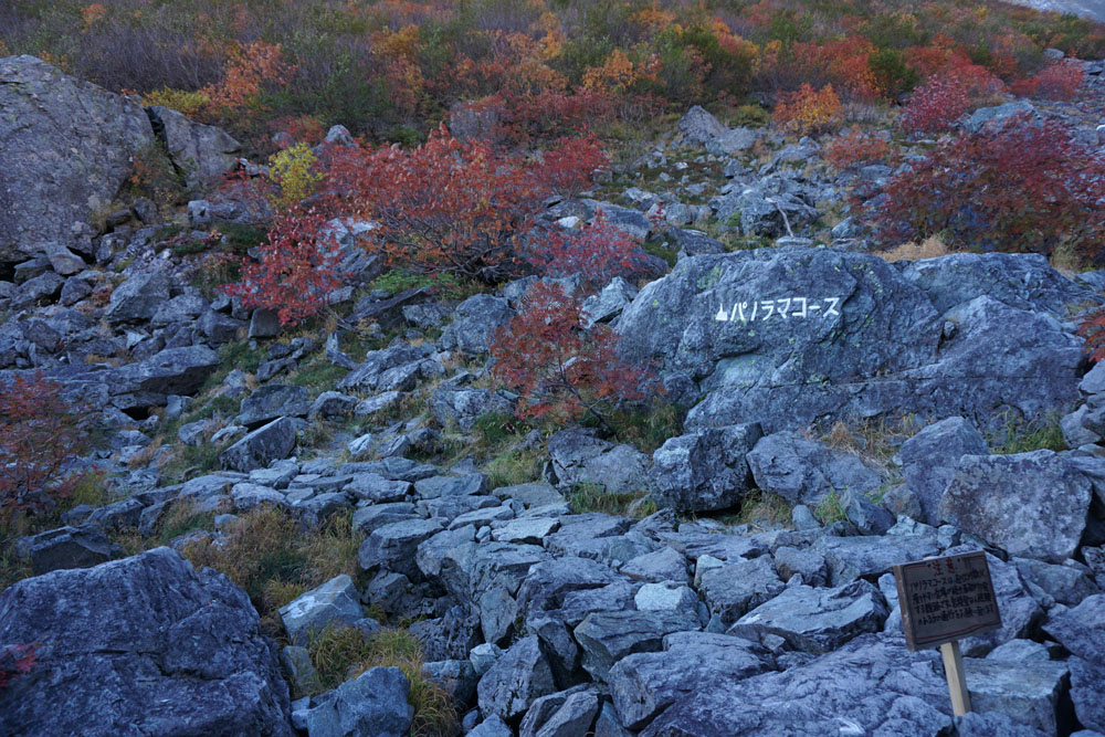 e0077010_22122100.jpg