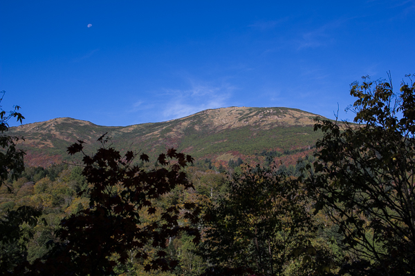 b0244811_20313871.jpg
