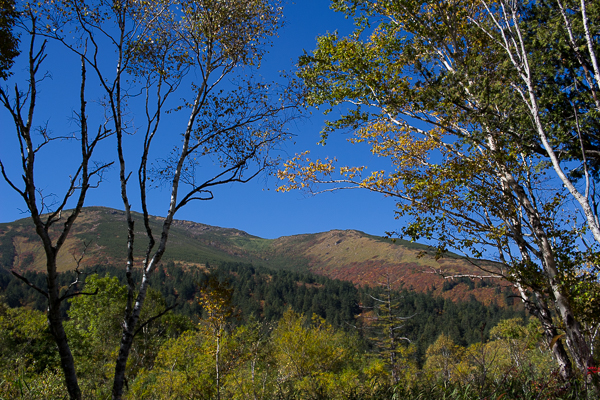 b0244811_2038428.jpg