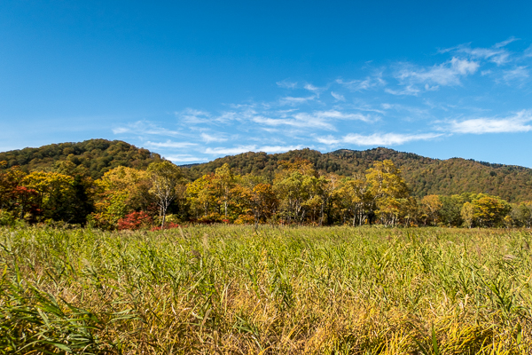 b0244811_21462596.jpg