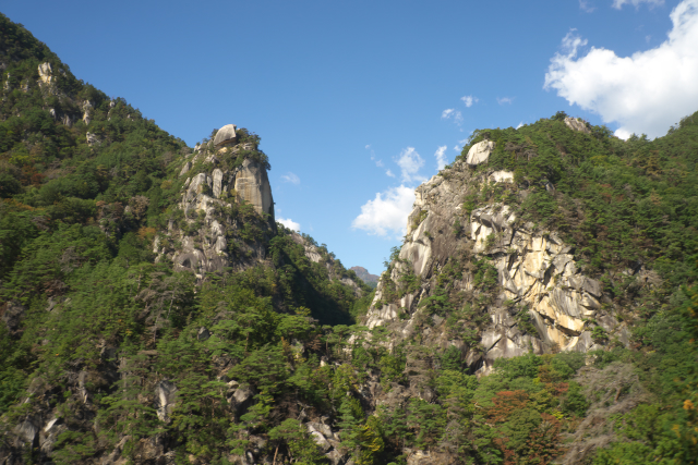 d0143011_2155208.jpg