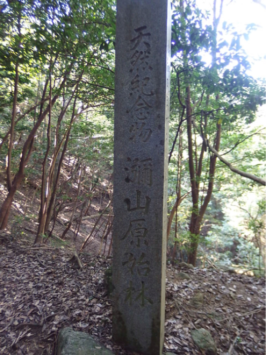 f0090416_19420937.jpg