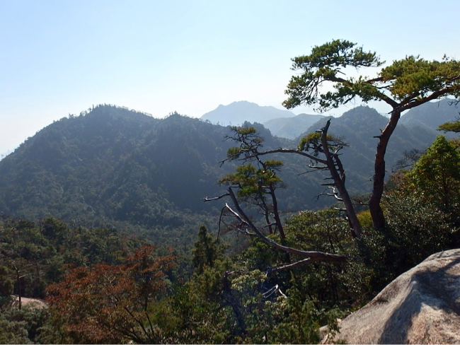f0090416_19421063.jpg