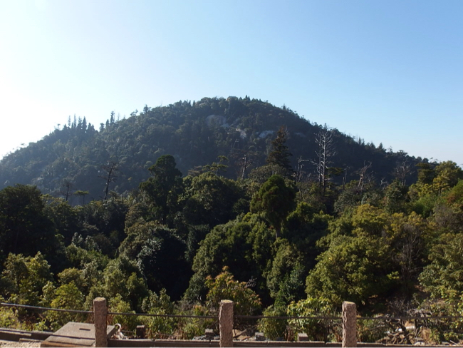 f0090416_21223923.jpg