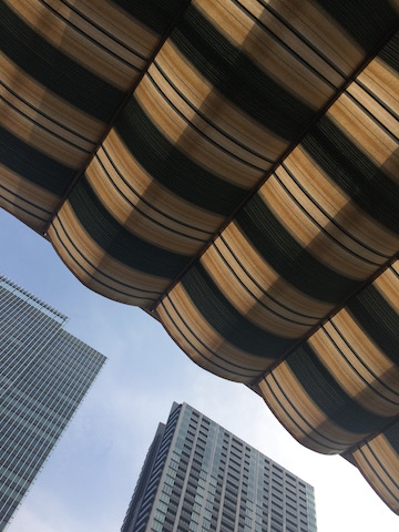 e0141819_8252593.jpg