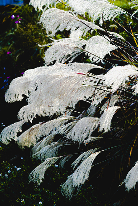 d0265224_19314304.jpg