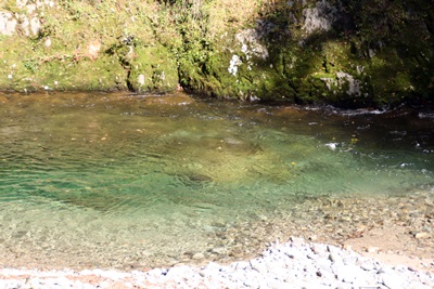 e0196130_2136537.jpg