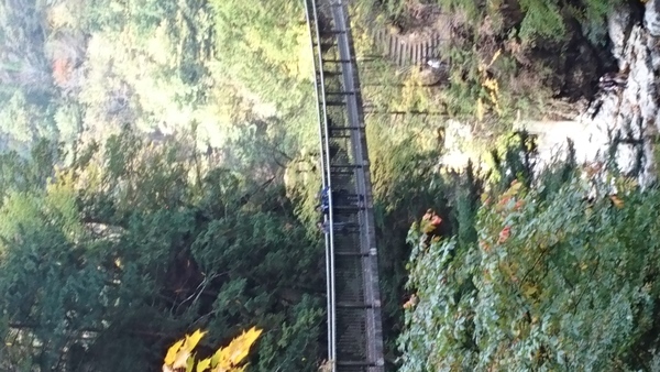 c0229433_22191746.jpg
