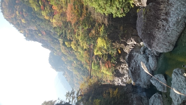 c0229433_22782.jpg