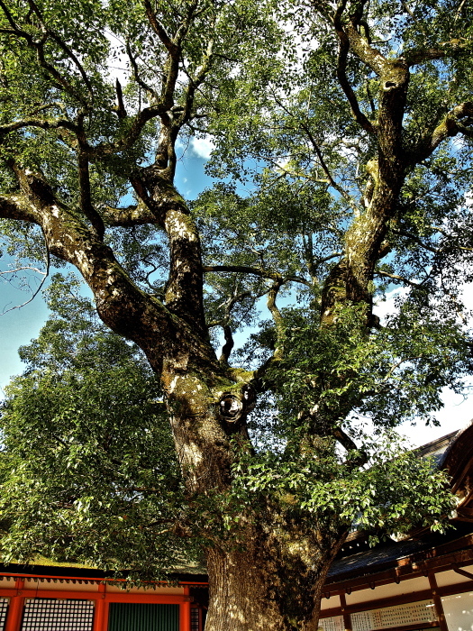 f0315034_13541177.jpg