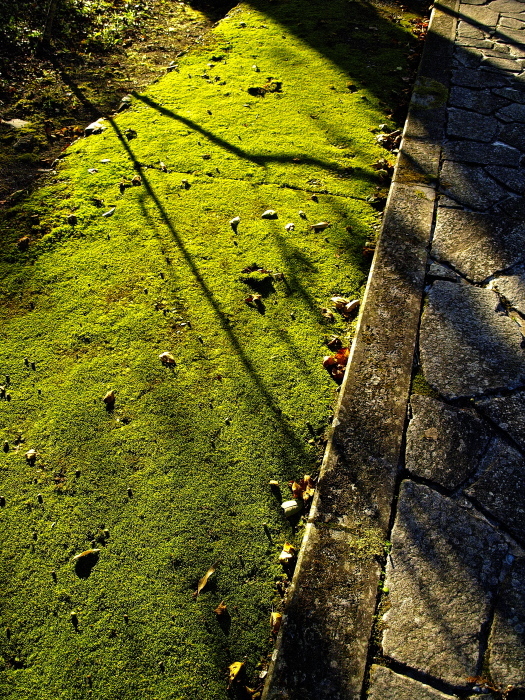 f0315034_13581383.jpg