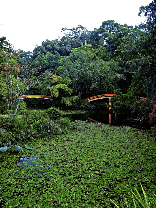f0315034_13592737.jpg