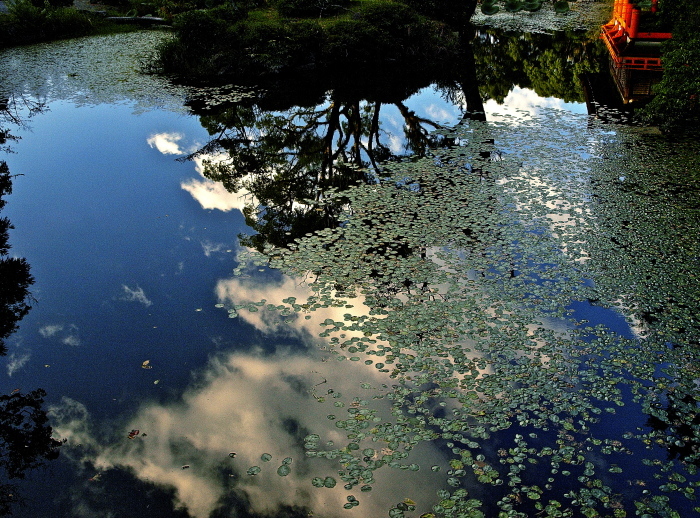 f0315034_14023147.jpg