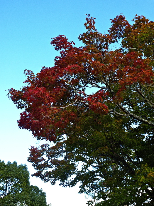 f0315034_14031904.jpg