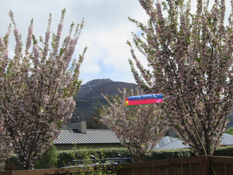 b0334436_17483572.jpg