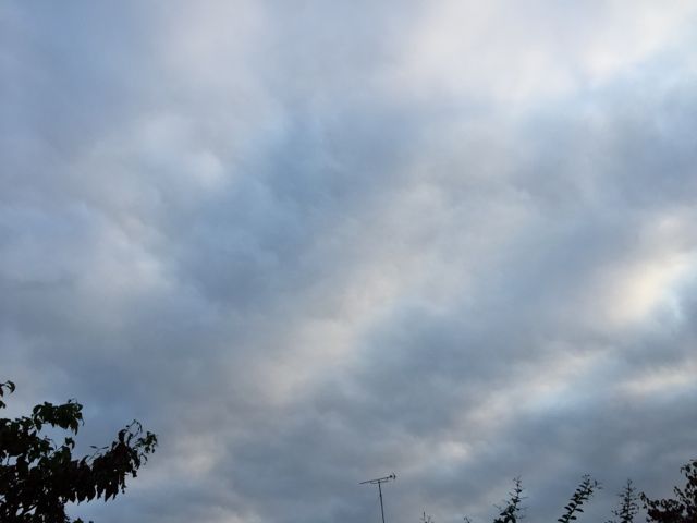 c0220337_93066.jpg