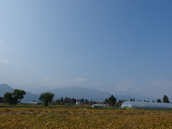 a0014840_2243382.jpg