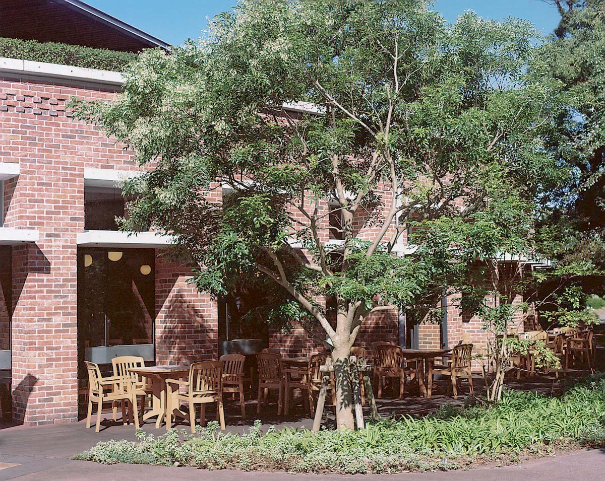 e0262941_2373333.jpg