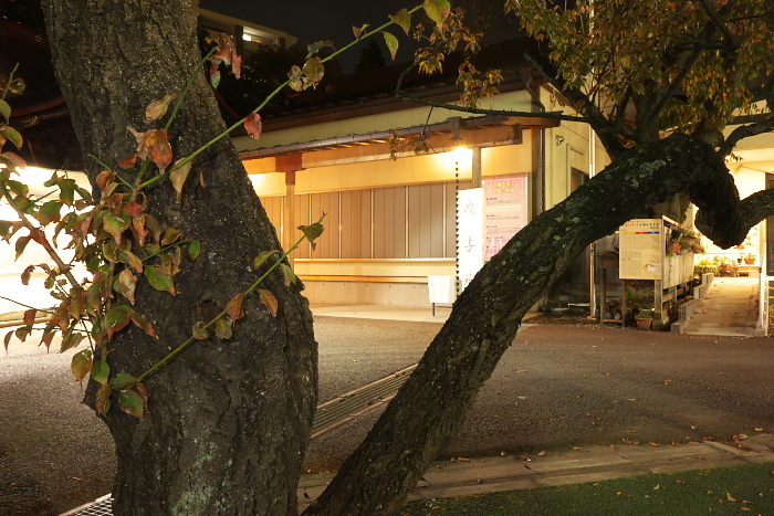 c0180845_22373641.jpg