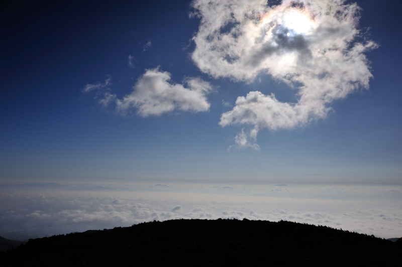d0169556_14235618.jpg