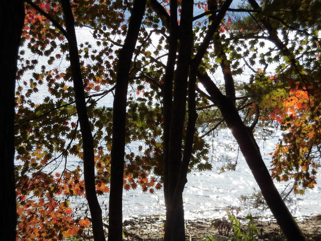 c0324959_21032750.jpg