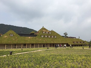 f0221360_20282092.jpg