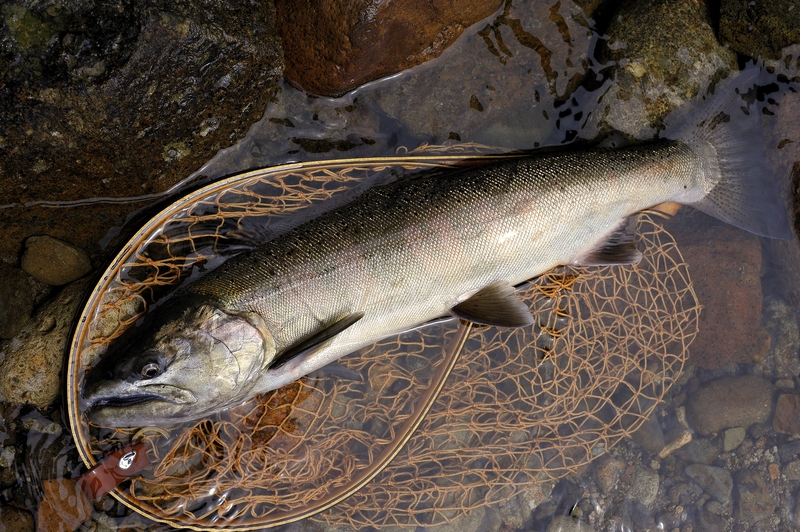 c0157761_857318.jpg