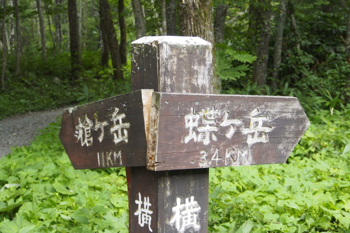 e0307372_21065015.jpg