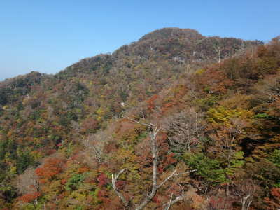 d0182075_5193567.jpg