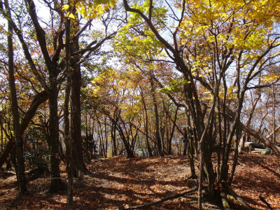d0182075_5195993.jpg