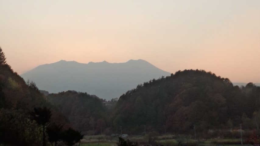 a0130586_1710936.jpg