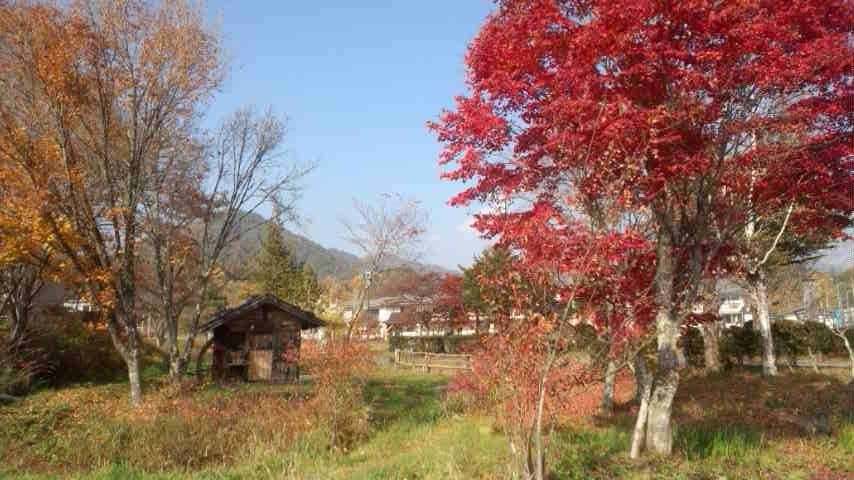 a0130586_1742095.jpg